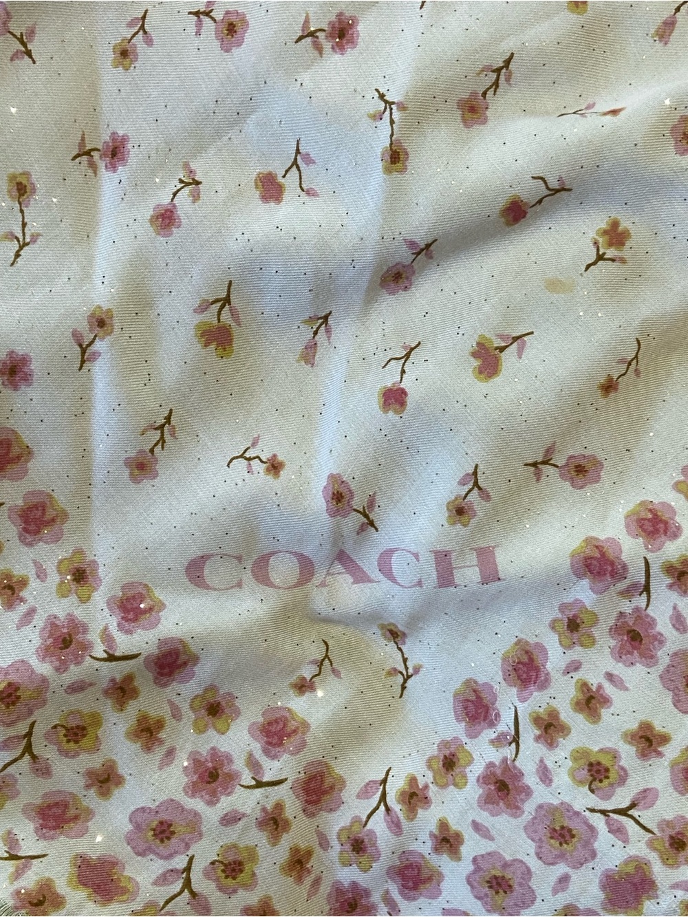 Gorgeous Coach Scarf